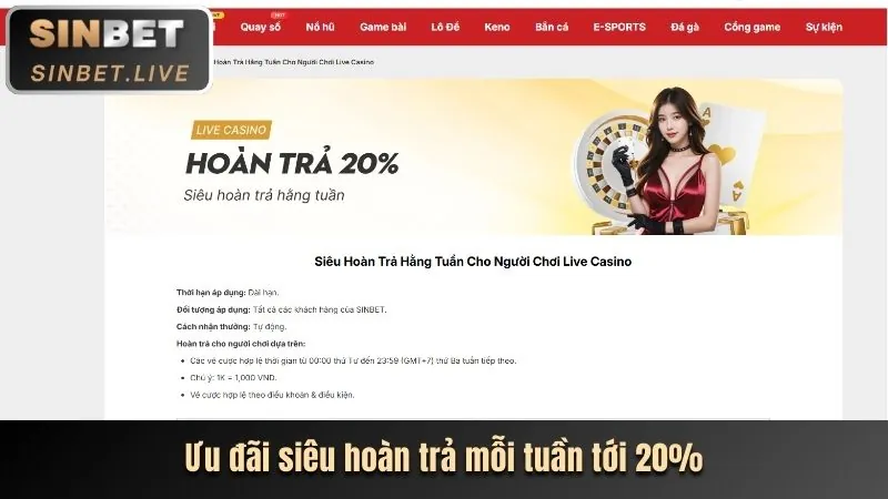 Hoàn Trả Hàng Ngày VIP Nhat